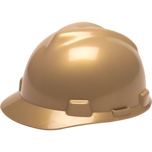 SAF979-V-Gard® Protective Caps - Fas-Trac® Suspension