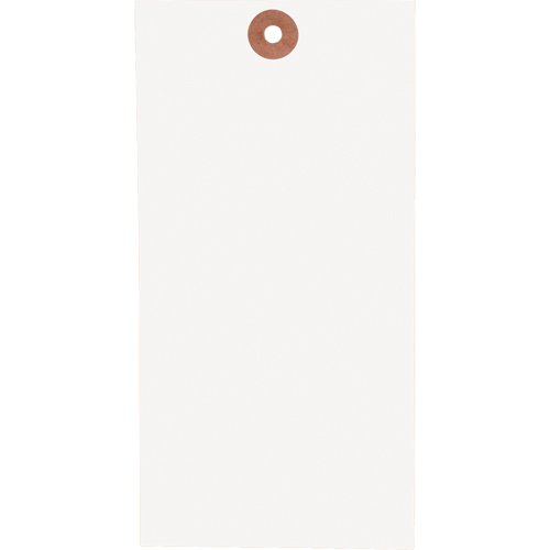 SAG754-Blank Tags