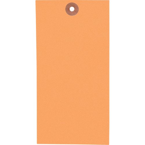SAG770-Coloured Blank Tags