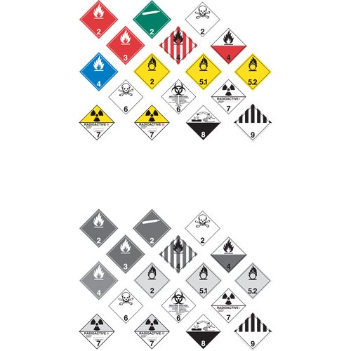 SAG853-TDG Shipping Labels