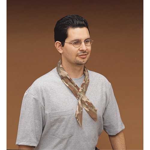 SAI273-Cool Offs Bandana