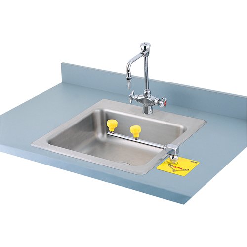 SAK654-Swing-Away™ Eyewash Station