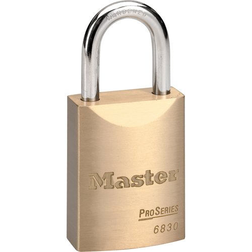SAL508-Pro Series® Padlock
