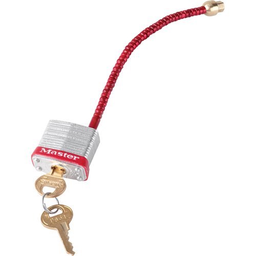 SAL525-Switch Padlocks