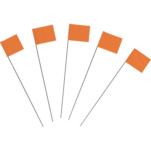 SAQ792-Marking Flags