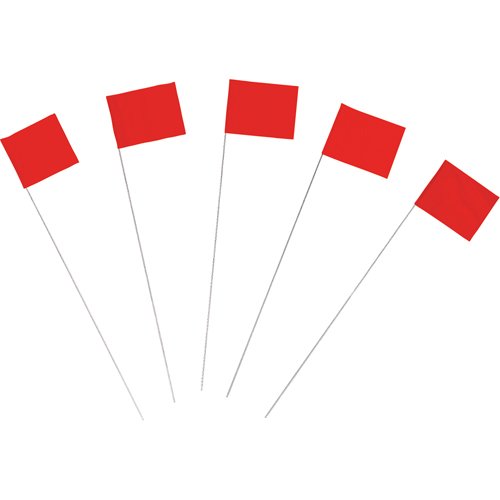 SAQ793-Marking Flags