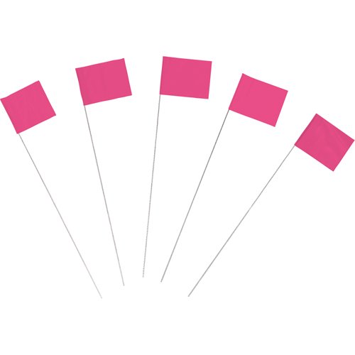 SAQ794-Marking Flags