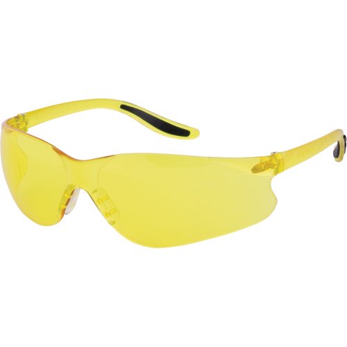 SAS363-Z500 Series Safety Glasses