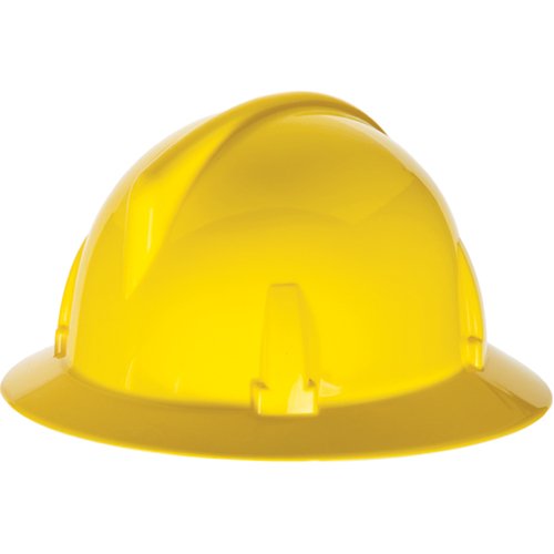SDL487-TopGard® Full Brim Hardhat