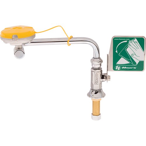 SDS755-Axion® Eye/Face Wash Station