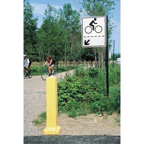 SE101-Bollards