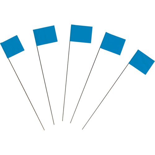 SEA002-Marking Flags