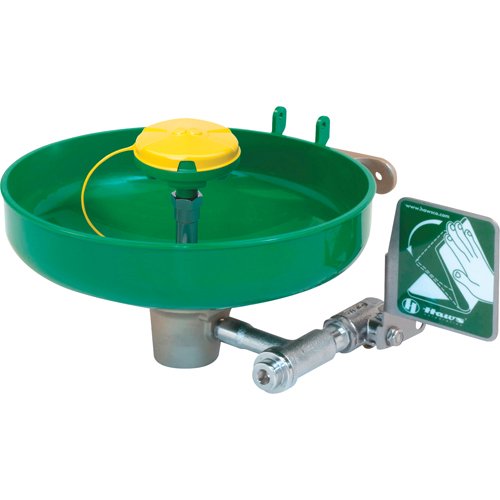 SEB239-Axion® Eye/Face Wash Station