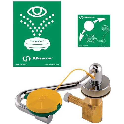 SEB252-Eye/Face Wash Station