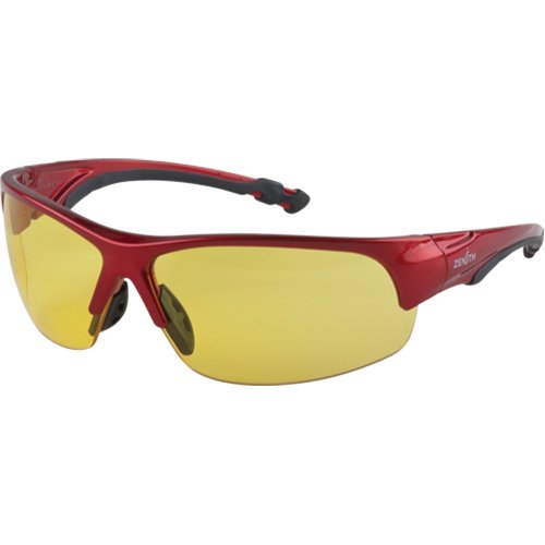 SEK287-Z1900 Series Safety Glasses