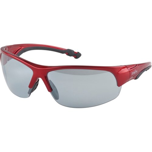 SEK289-Z1900 Series Safety Glasses