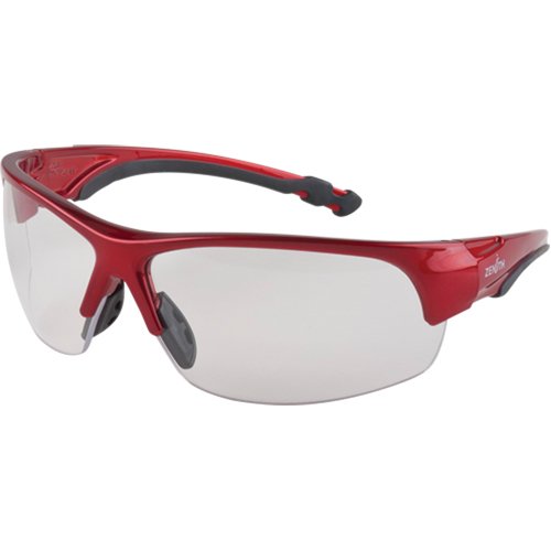 SEK290-Z1900 Series Safety Glasses