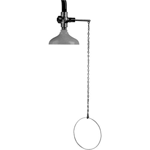 SF859-Lifesaver® Emergency Overhead Showers