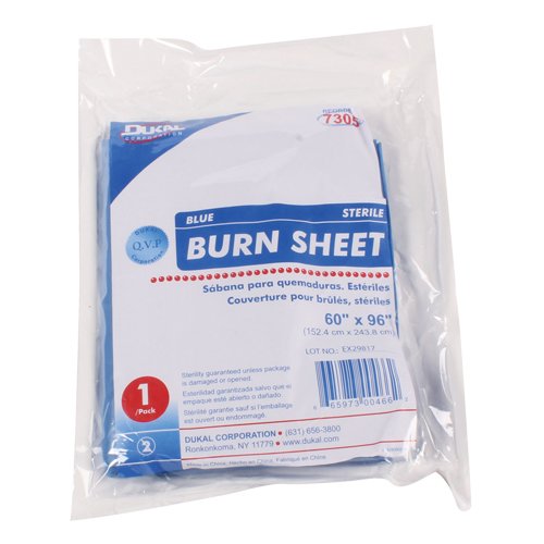 SGD197-Burn Sheets