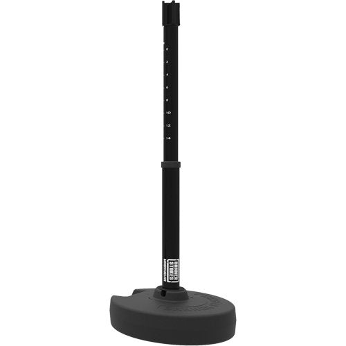 SGI891-PLUS Barrier Post Set Receiver