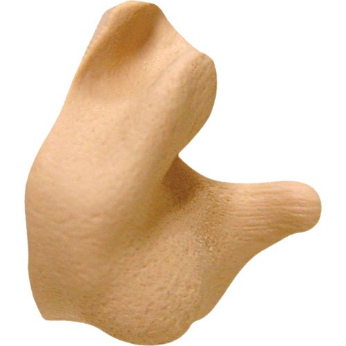 SGP818-Custom Molded Earplugs