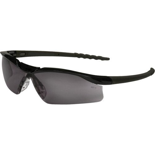 SGR153-DLI Series Safety Glasses