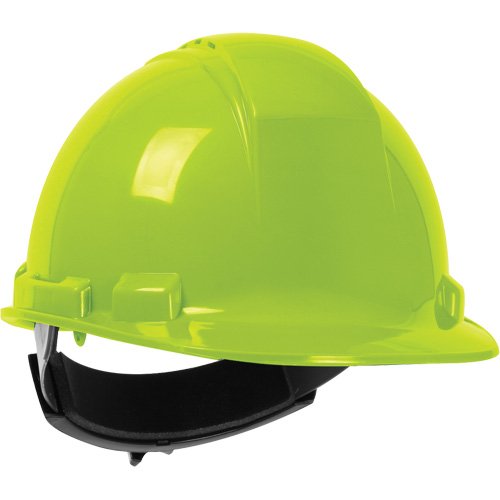 SGV684-Dynamic™ Whistler™ Hardhat