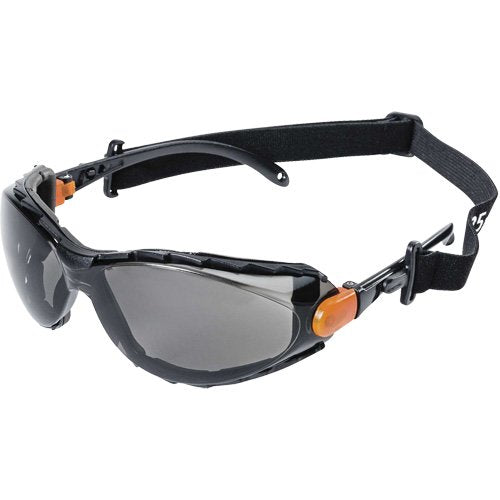 SHE970-XPS502 Sealed Safety Glasses