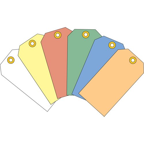 SAG521-Coloured Blank Tags