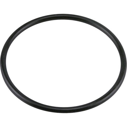 TYZ919-G438 Buna-N O-Ring