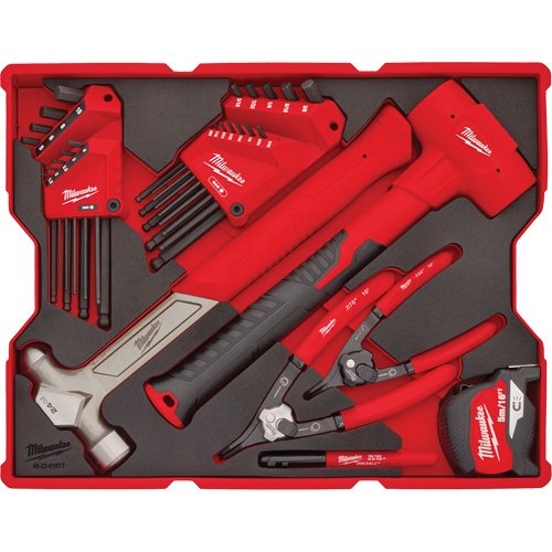 UAZ320 - Hex Key & Hammer Set with Tray for PACKOUT™ Drawers