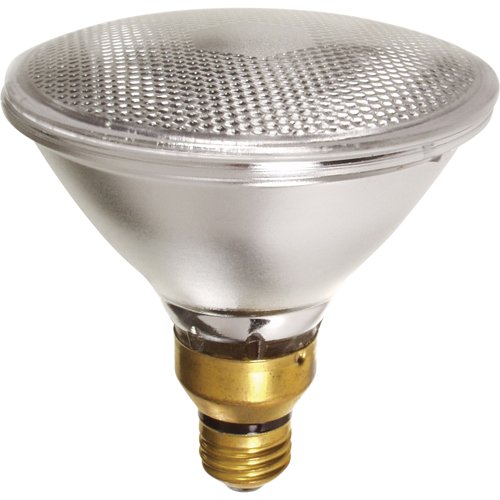 XC571-Economy Line Lamps