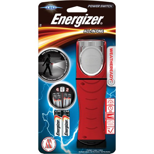 XI060-Weatheready® All-in-One Light