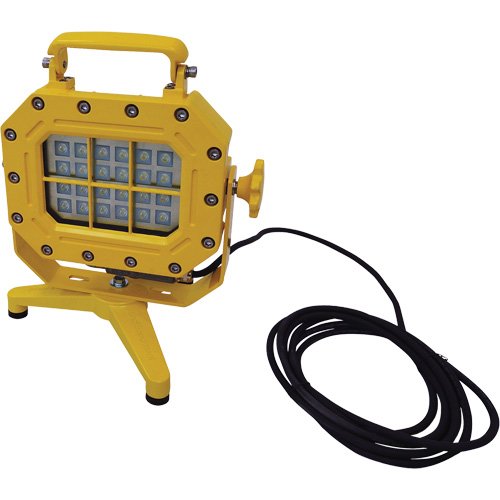 XJ040-Explosion Proof Floodlight with Stand