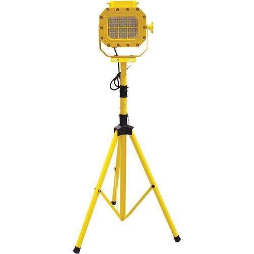 XJ041-Explosion Proof Floodlight with Tripod
