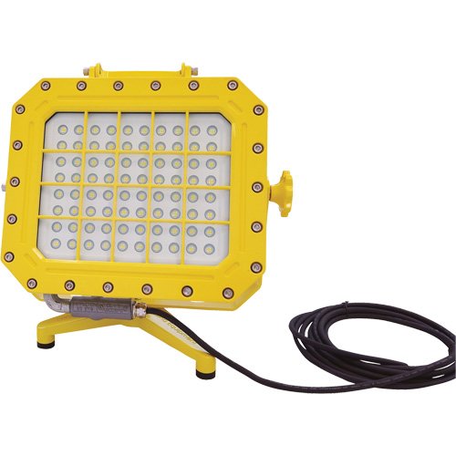 XJ043-Explosion Proof Floodlight with Floor Stand