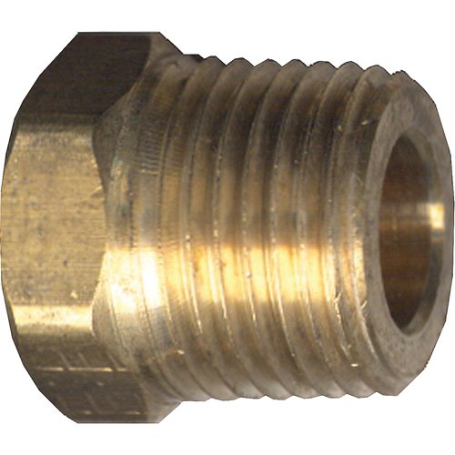 YA538-Hex Head Cored Plug